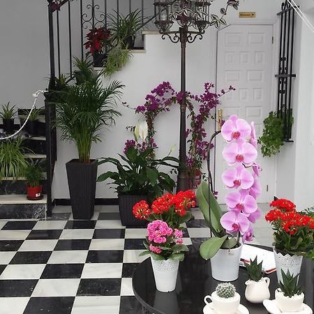 Hospederia Rural Las Buganvillas El Rocío Zewnętrze zdjęcie