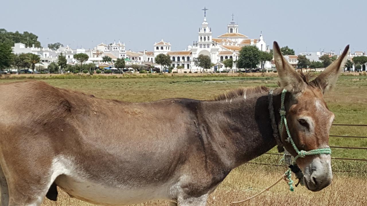 Hospederia Rural Las Buganvillas El Rocío Zewnętrze zdjęcie