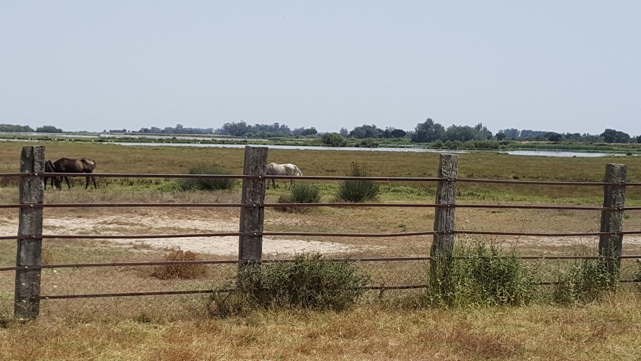 Hospederia Rural Las Buganvillas El Rocío Zewnętrze zdjęcie
